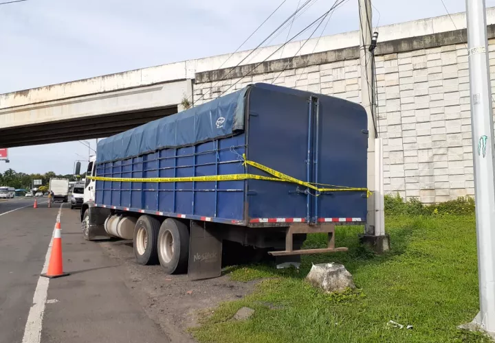 Al momento de la incautación, se pudo comprobar que la documentación que portaba el cargamento era falsificada, y además no contaban con la certificación emitida por el Ministerio de Desarrollo Agropecuario (Mida). Foto/Thays Domínguez
