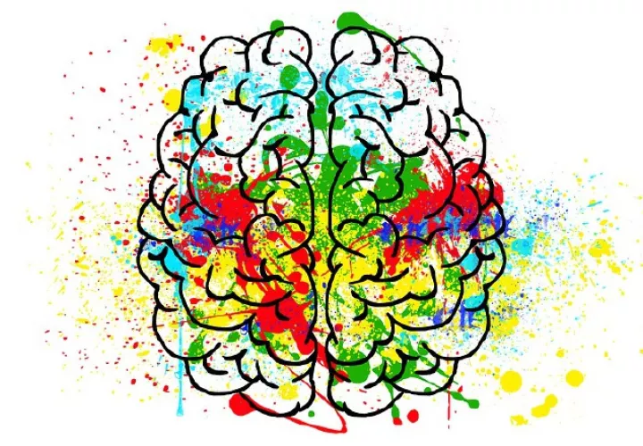 A través de la neuroimagen pueden ver cómo se comporta el cerebro humano en un momento determinado.