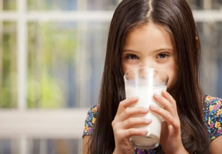 La leche y los productos lácteos son  alimentos que  aportan, a través de una sola toma, parte de los nutrientes que el cuerpo necesita. /Foto: web