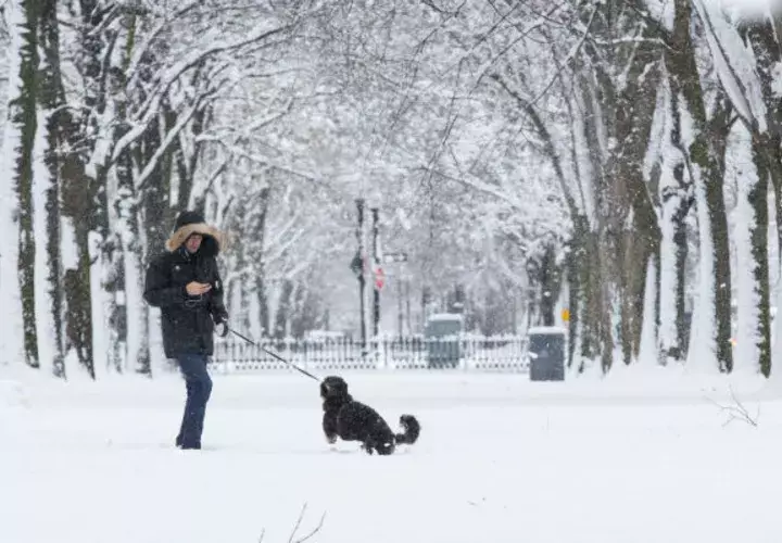 La ciudad de Nueva York tiene en funcionamiento este lunes un aviso sobre peligrosidad en los desplazamientos y recomienda a los ciudadanos usar transporte público.