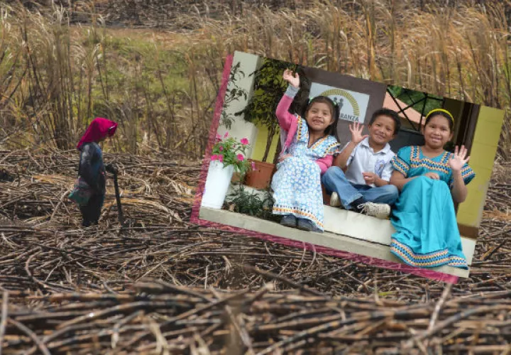  La erradicación de la cultura del trabajo infantil en algunas áreas indígenas ya es una realidad, pero el reto continúa. Foto: Mitradel/Casa Esperanza.