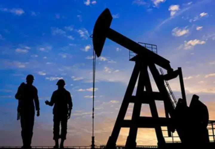 Petróleo y  gas representarán más del 50% del consumo. /Foto Cortesía