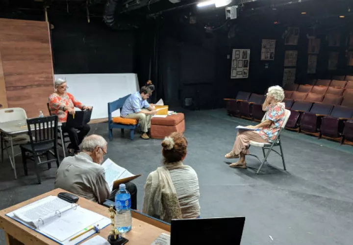Other desert cities obra presentada en Theatre Guild. Foto: Archivo.