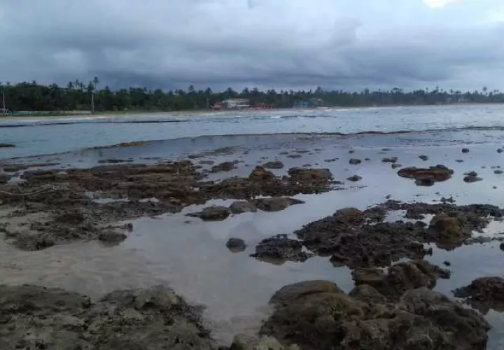 Palenque está ubicado en el distrito de Santa Isabel. /Foto Lissette Zorrilla