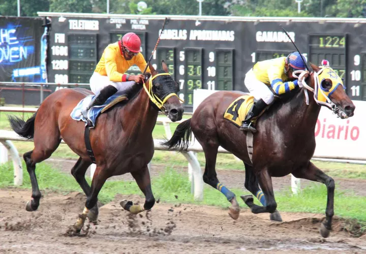 Habrá 34 competencias durante cuatro días.