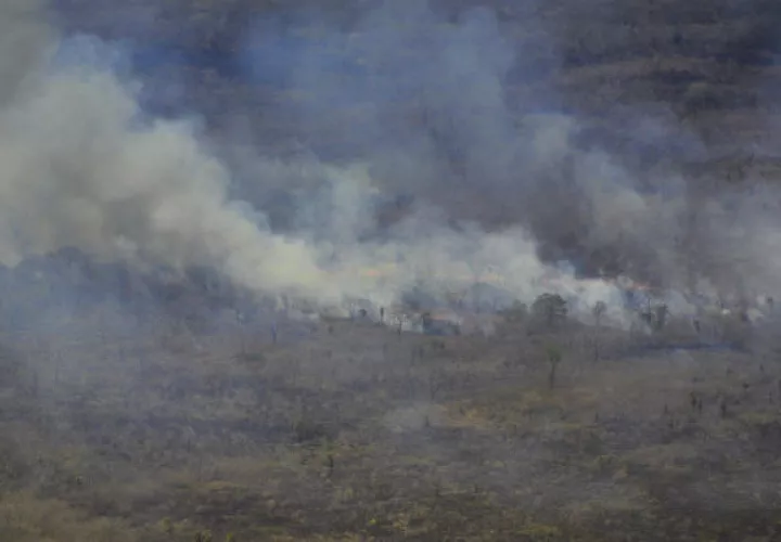  Incendio en la zona del Pantanal en Paraguay. Foto: EFE.