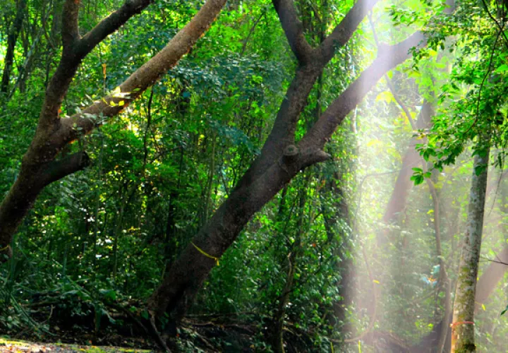 Parque Natural Metropolitano.