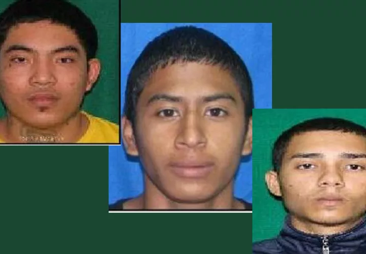 Homicidas se fugan de La Joyita. Foto/Cortesía