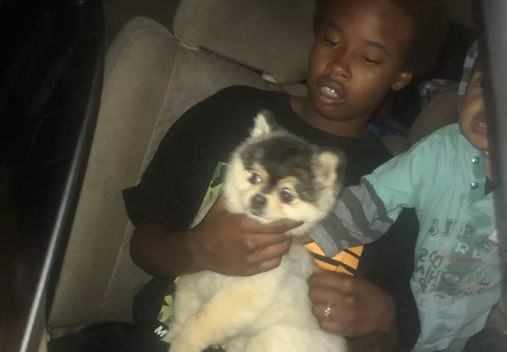 Un chico de 11 años halló al perro en un callejón.
