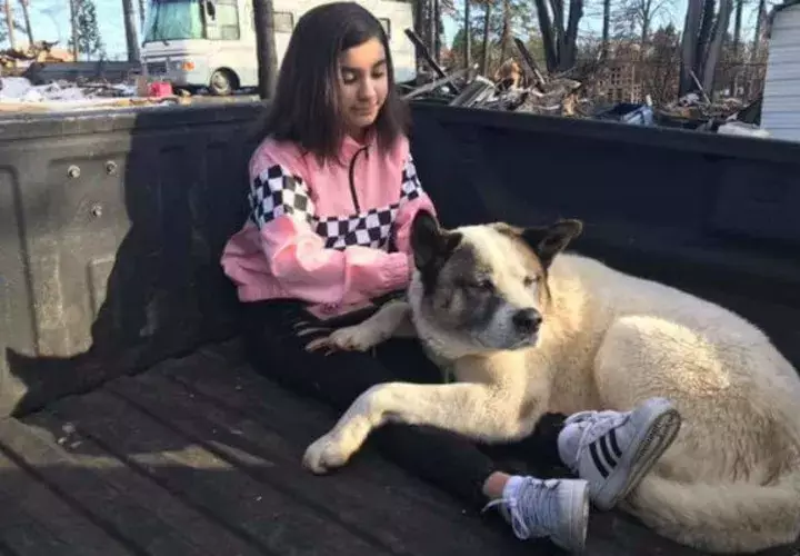 Kingston junto a su dueña luego de ser encontrado. Foto: AP. 