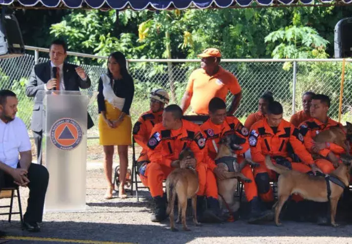 Empresa Dog School K9 Security vendió cachorros al Ministerio de Gobierno. Foto/Cortesía