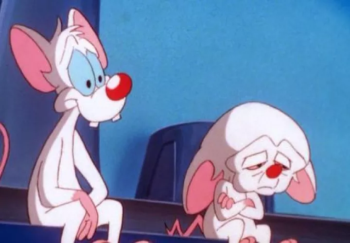 Pinky y Cerebro. 
