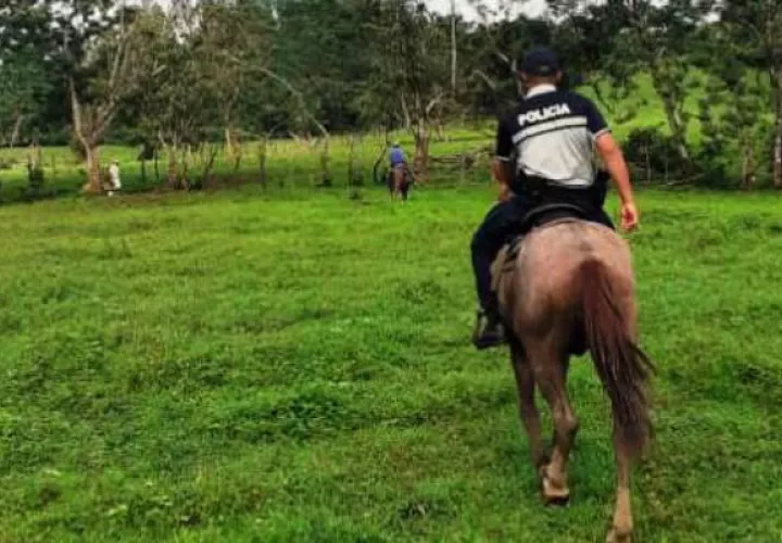 Policía Nacional patrulla a caballo en fincas de Panamá Norte. Foto/Cortesía
