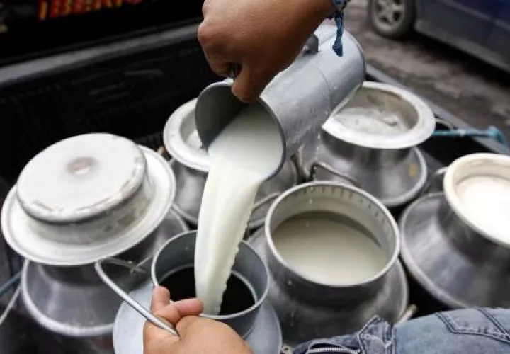 Productores de leche grado C también recibirán su pago. Foto/Archivo
