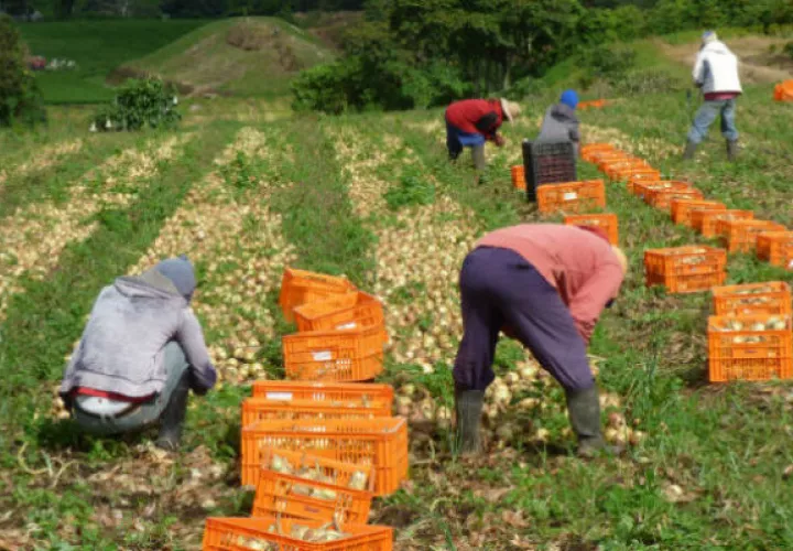Hoy 8 de octubre se celebra el Día del productor