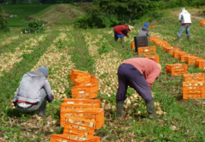 El pasado 24 de julio, los productores entregaron un pliego de peticiones con nueve puntos 