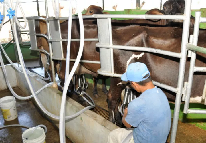 Productores de leche grado c estaban afectados por el cobro de arancel erróneo.