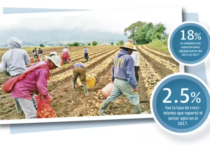 La participación del sector agropecuario en el PIB cayó de 2.3% a 1.9% del 2013 al 2017.