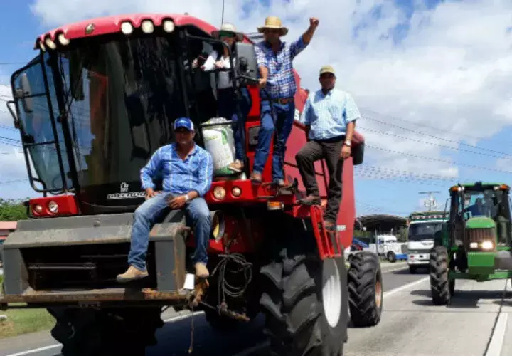 Productores de Azuero