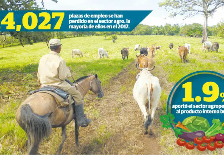 Los productores señalan que los tres últimos gobiernos han llegado con la promesa de ayudar al sector, sin embargo, ha sido todo lo contrario.
