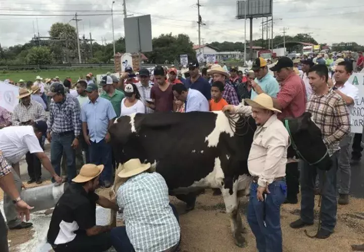 Productores manifestaron sentirse preocaupados por la situación que vive el agro panameño.