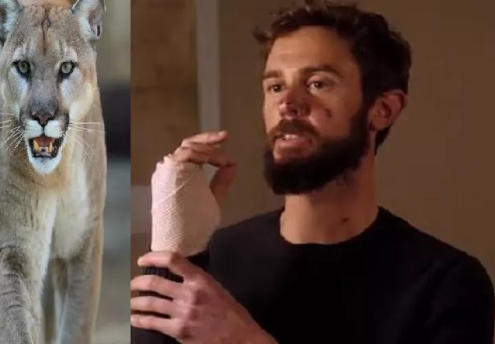  Kauffman lamentó tener que matar al animal.