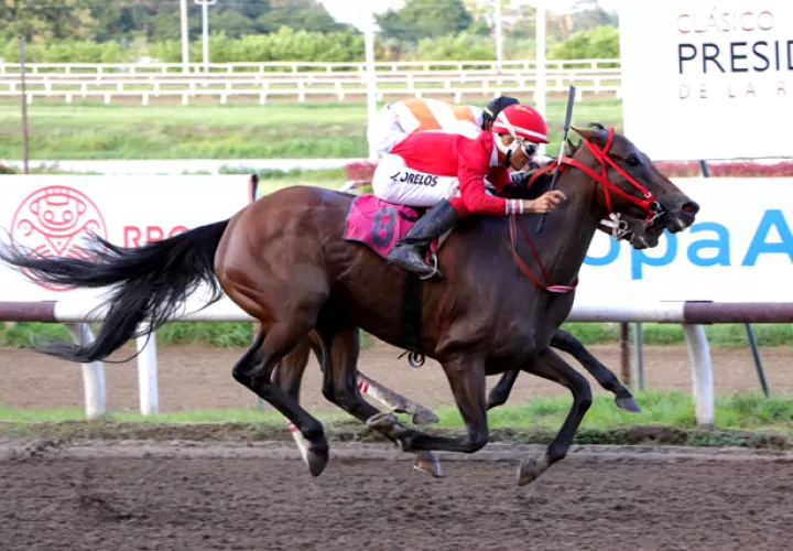 Queen Ceci va por la triple corona nacional.