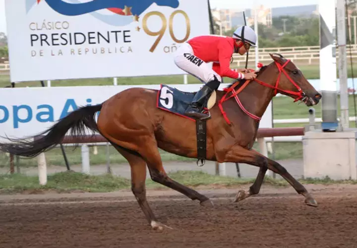 Queen Ceci vuelve para confirmar su clase.