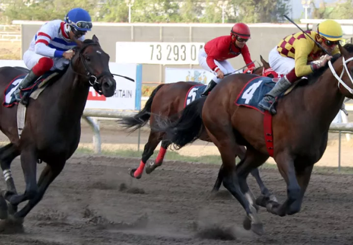 Red Carpet Prince regresa hoy en calidad de fuera de las apuestas.