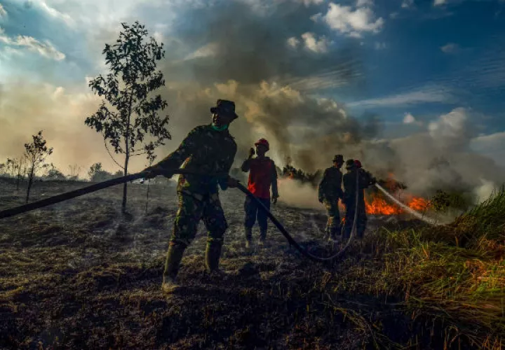 Grandes turberas han sido reemplazadas por granjas de aceite de palma en Asia. Una plantación en llamas. (Wahyudi/Agence France-Presse — Getty Images)