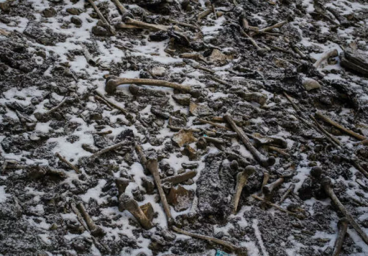Un análisis de los huesos en el lago Roopkund identificó a personas de diferentes edades, pero sin relación sanguínea. (Himadri Sinha Roy)
