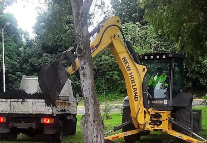 Evalúa posibles proyectos de reforestación cuya ejecución se vería reflejada a largo plazo en las áreas revertidas.