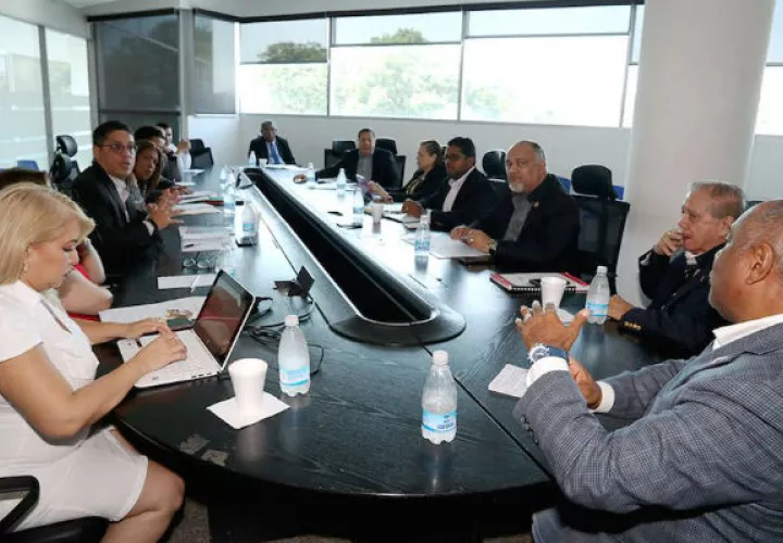 Las consultas continuarán con la participación de especialistas en la materia, con la finalidad de presentar un documento robusto sobre el tema.