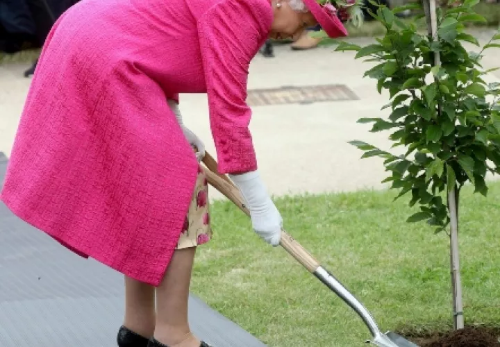 Determinada a cumplir la tarea, la reina le entregó su bolso negro a una de sus damas de honor y se puso manos a la obra. FOTO/AP