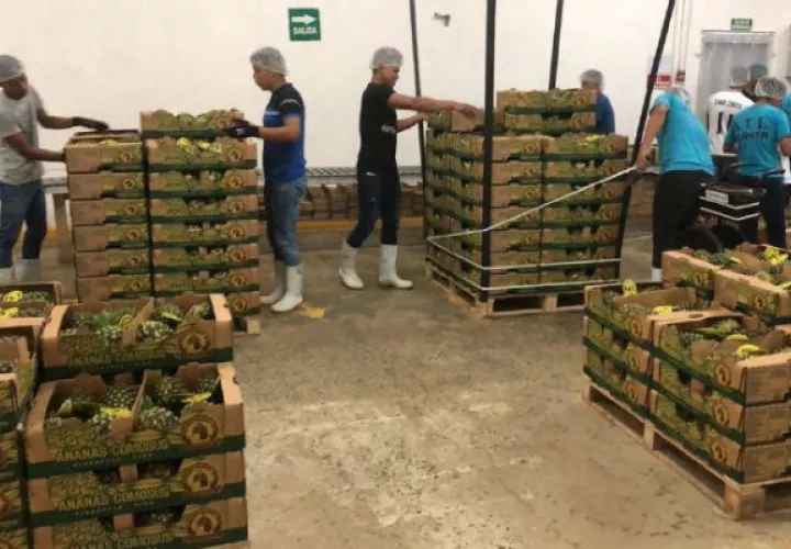 Las ventas de piña habían caído un 16%.