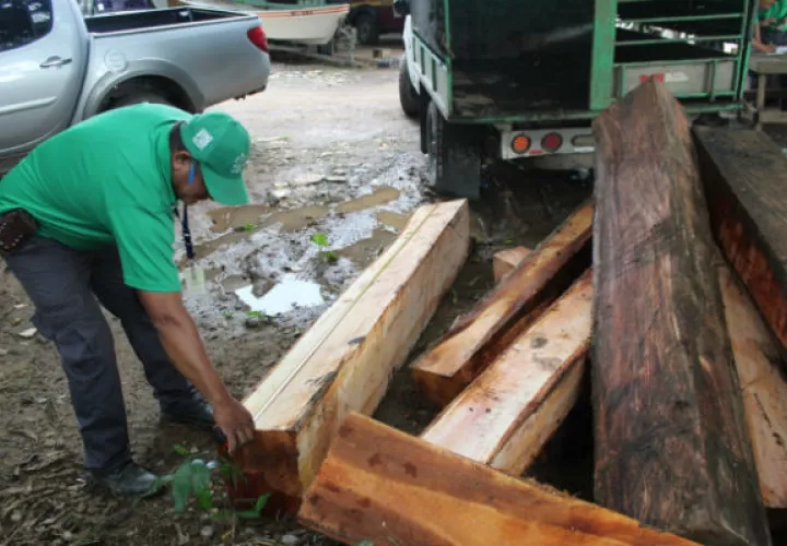 Se investiga el origen de la madera retenida. Foto: Thays Domínguez. 