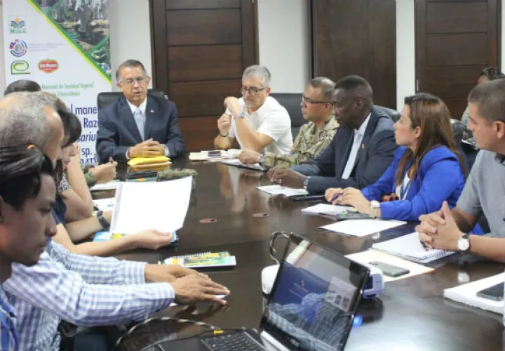 El ministro de Desarrollo Agropecuario, Augusto Valderrama sostuvo que como país hay  que estar preparados para defender el patrimonio fitosanitario.