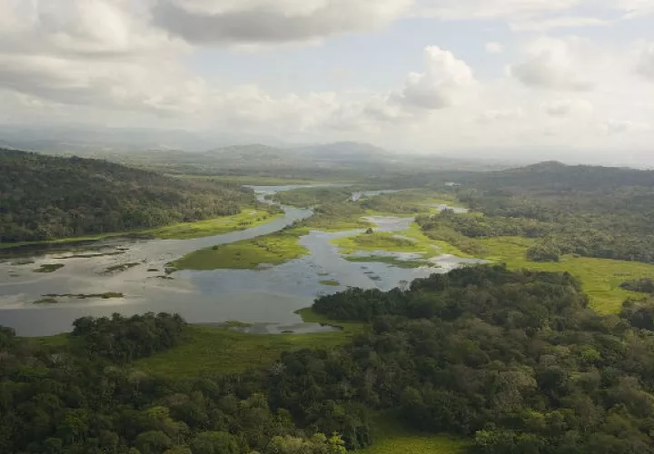 El Río Chagres es el principal afluente del Canal de Panamá. Los terratenientes en la Cuenca pueden tomar decisiones sobre el uso de la tierra más respetuosas con el medio ambiente cuando existen programas de Pago por Servicios de los Ecosistemas. Crédito:  Archivos Smithsonian