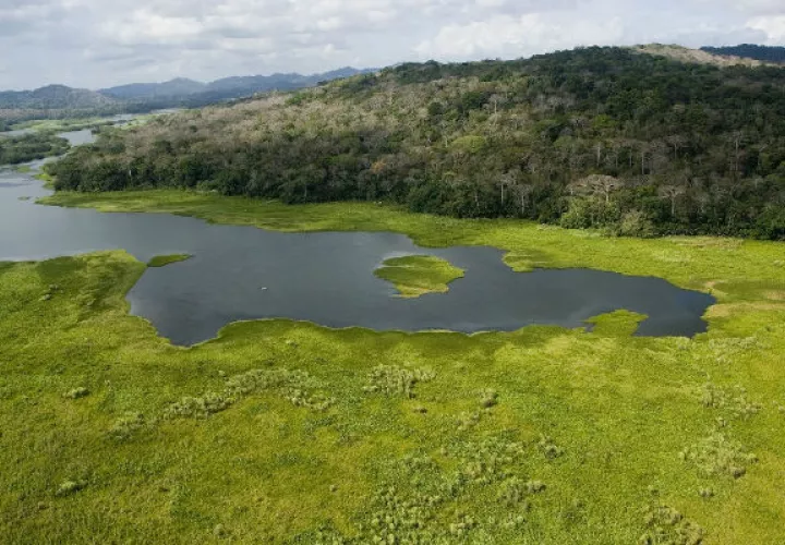 Cuenca del Río Chagres, principal afluente del Canal de Panamá.  Crédito:  Archivos Smithsonian