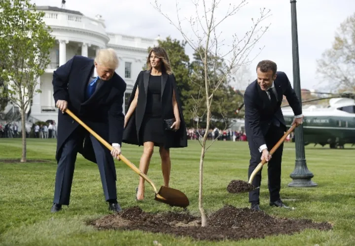  El 23 de abril de 2018 el presidente galo, Emmanuel Macron (d), y el presidente de EEUU, Donald Trump (c), plantaron un roble en los jardines de la Casa Blanca. FOTO/EFE