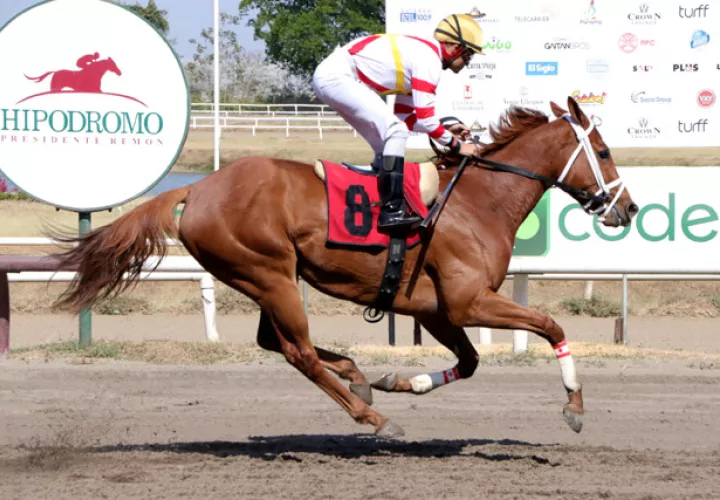 Rosa Salvaje será una de las grandes favoritas,