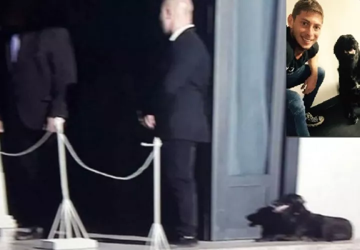 Nala estuvo presente en el último adiós de su amigo.