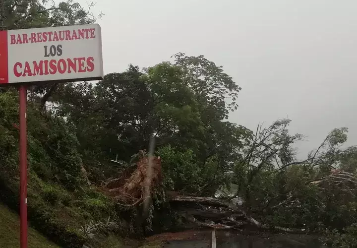 Los moradores y los bomberos trabajan para reabrir la vía. Foto/Cortesía