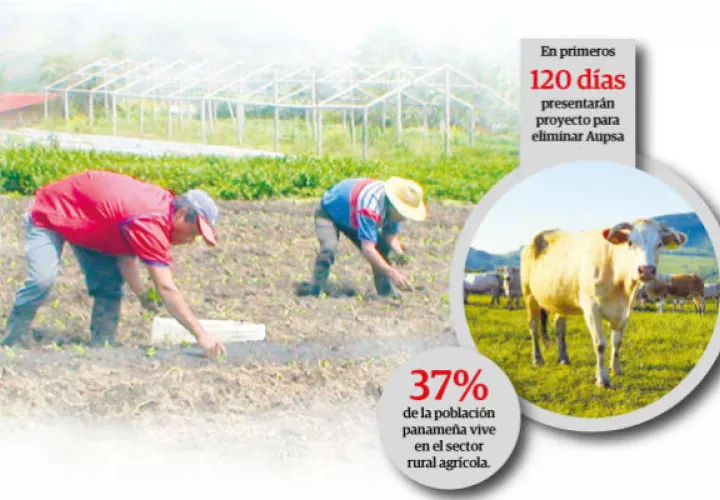 El sector agro está en franca decadencia por las importaciones desmedidas que se han registrado en los últimos años, tal como han denunciado en reiteradas ocasiones.