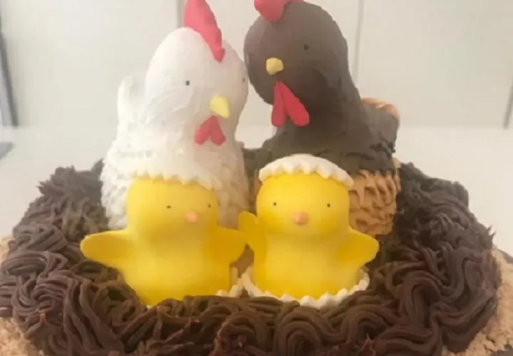 Así era el dulce de Shakira. Tomado de Instagram