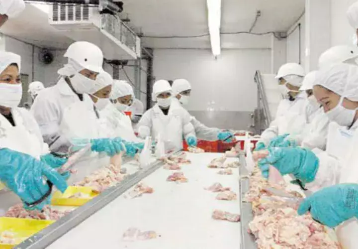  Un total de 146,116 personas dependen de la industria manufacturera.