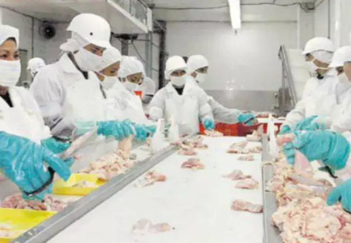 La Industria realiza esfuerzos encaminados a reposicionarse y duplicar su participación en la economía nacional.