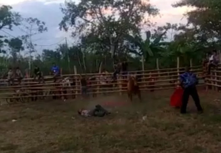 El hombre cayó al suelo y después fue pateado por el animal Foto/Mayra Madrid