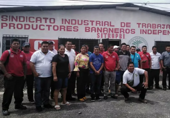 El pliego presentado por los trabajadores bananeros requiere la incorporación del acarreo mecanizado de las frutas.