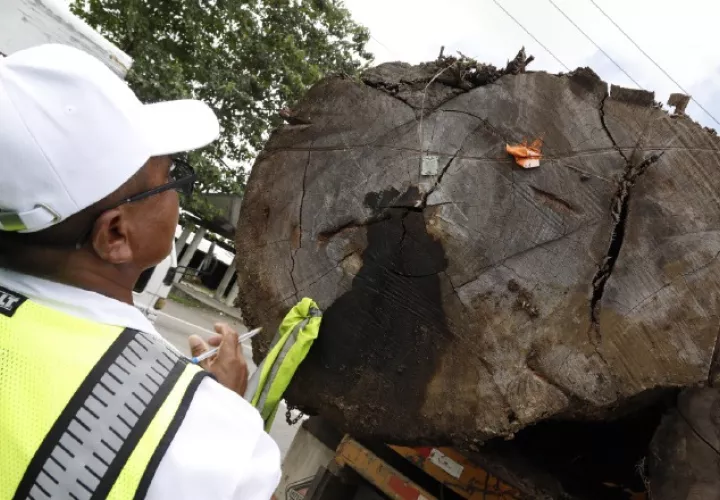 Se capacitó a más personal en la instalación de dispositivos digitales en las tucas. Foto de cortesía